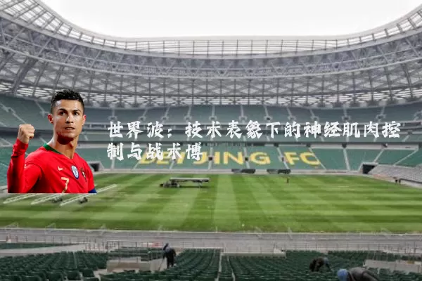 世界波:技术表象下的神经肌肉控制与战术博弈